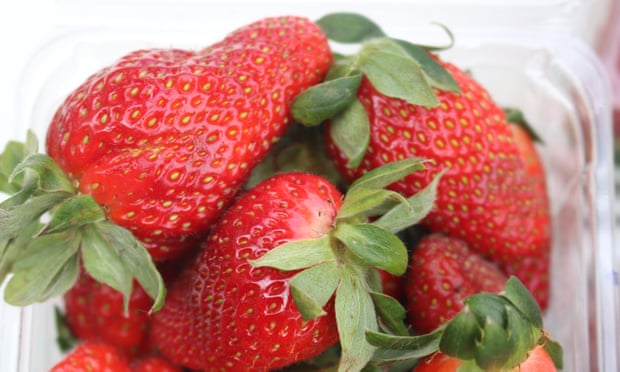 Australian strawberries pulled from New Zealand shelves after needles found