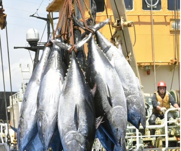 Japan’s Pacific bluefin tuna fishing quota to remain unchanged
