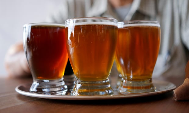 High hops: New Zealand ministry pumps millions into craft beer