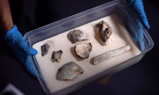 Oldest Brazilian human fossil Luzia found amid National Museum debris