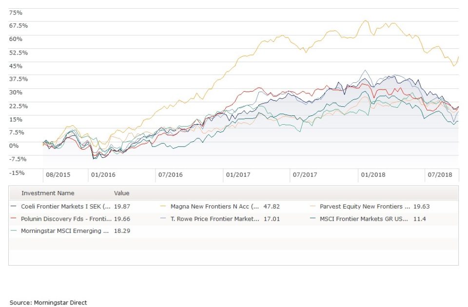 bmo lgm frontier markets equity fund