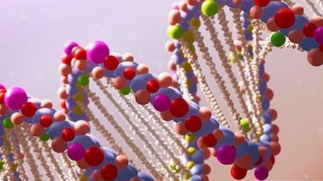 World’s longest DNA sequence decoded