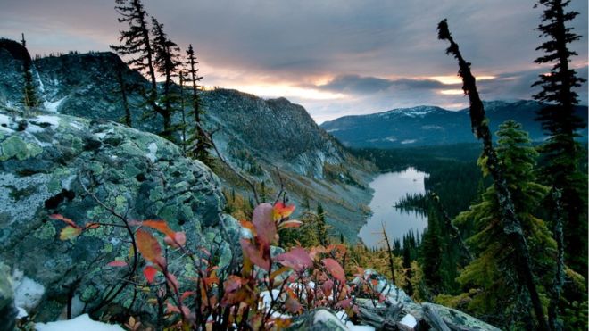 Conservation land in British Columbia gets $11m investment