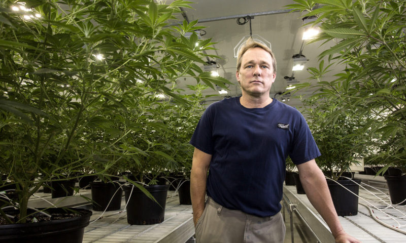 Canopy Growth’s stock jumps as Piper Jaffray raises price target by 50%