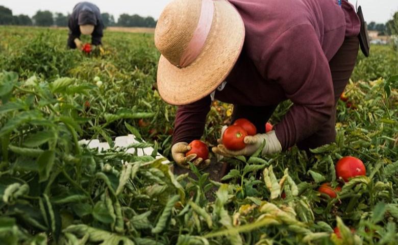 Court: EPA Has 90 Days to Justify Use of Dangerous Pesticide