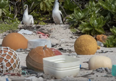 Henderson Island: the Pacific paradise groaning under 18 tonnes of plastic waste