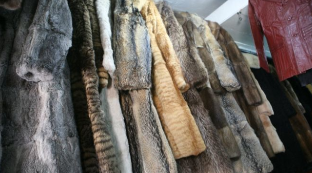California becomes first US state to ban animal fur products