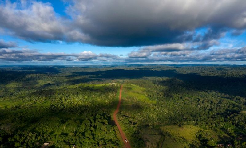 Scientists Say Emissions from Tropical Forest Loss Worse Than Thought