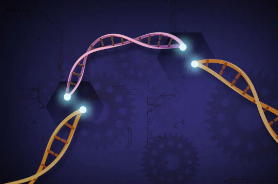 A CRISPR cure for cystic fibrosis?