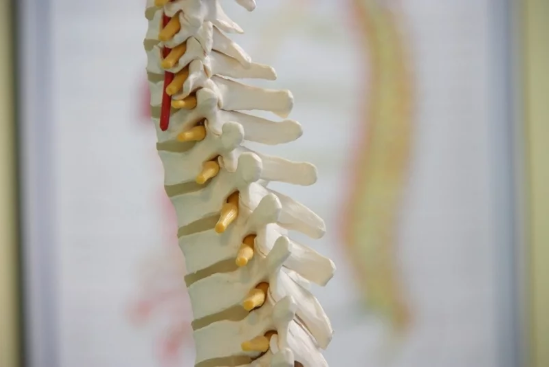 Spine-focused Alphatec moves to buy EOS imaging for $122M