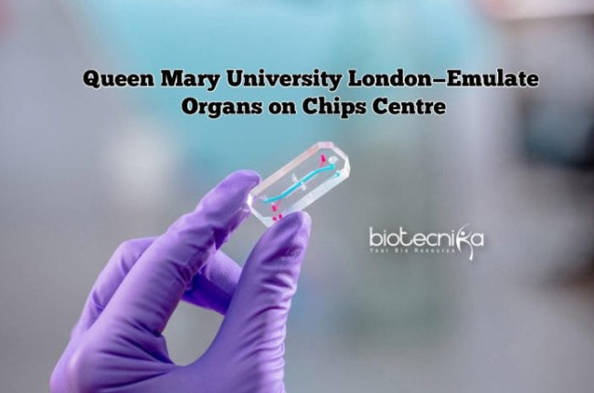 Organs-On-Chips Center UK To Revolutionize Medical Research