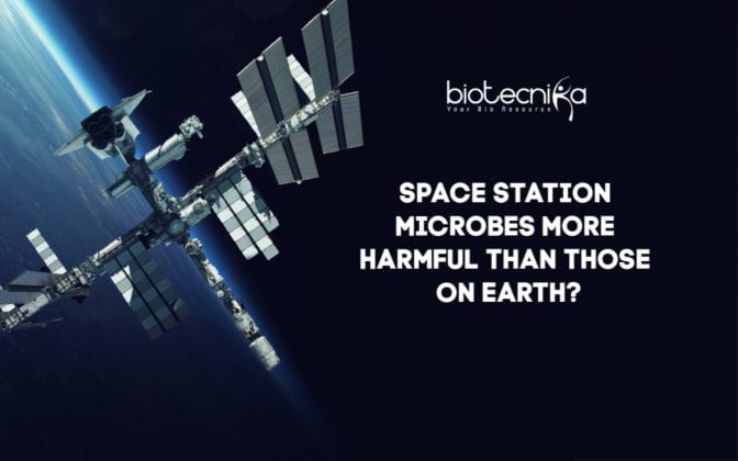 Space Station Microbes More Harmful Than Microbes On Earth?