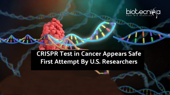 First U.S CRISPR Gene Editing Trials For Cancer Appears Safe