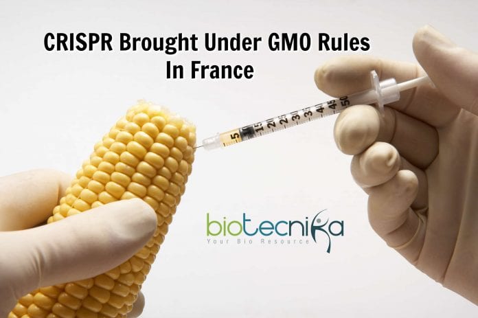 France Concerned About The Use Of CRISPR In Vegetables
