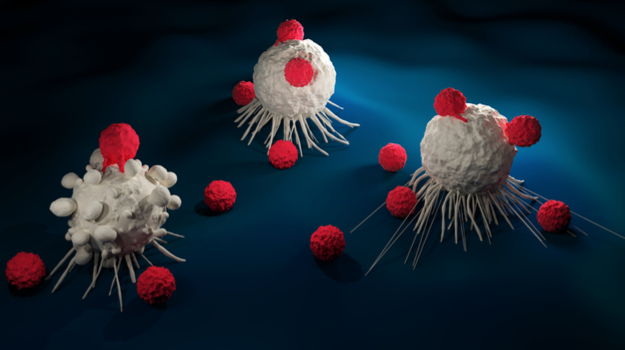 Why Some Cancers Become Resistant to CAR-T Immunotherapy