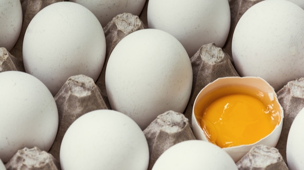 Research Roundup: Eating an Egg a Day is Healthy and More