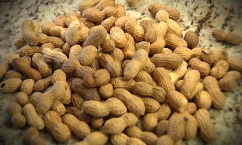1st peanut allergy drug for children approved by FDA