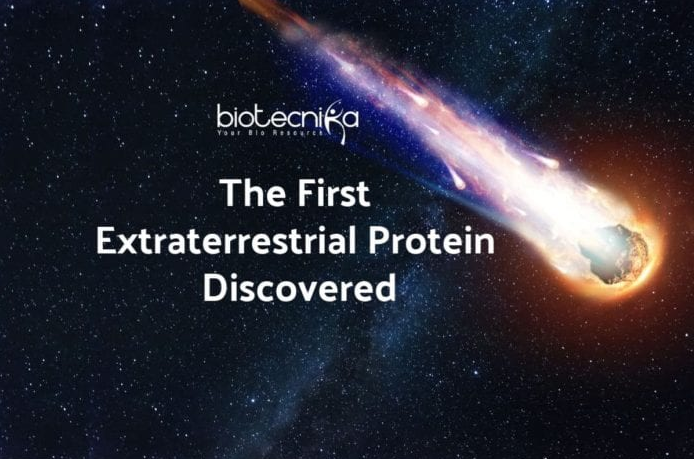 First Ever Extraterrestrial Protein Discovered In A Meteorite