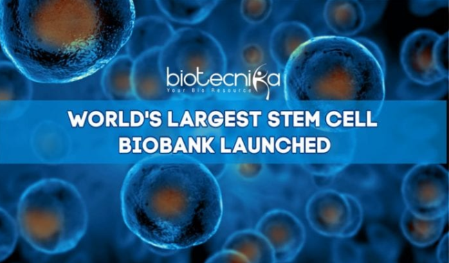 World’s Largest Stem Cell Bio-Bank Launched
