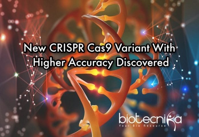 New Cas9 Variant To Increase Efficiency Of CRISPR