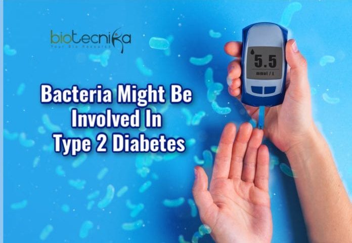 Role Of Bacteria In The Development Of Type 2 Diabetes Studied