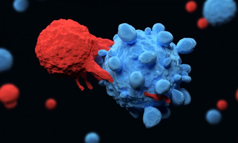 resTORbio and Adicet Bio Merge to Advance T-Cell Therapies