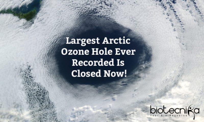 Largest Arctic Ozone Hole Ever Recorded Has Healed!