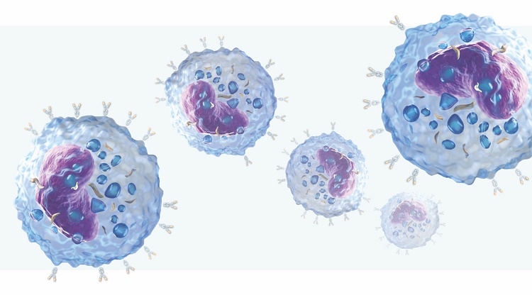 IONTAS Announces a New Collaboration to Identify Novel Immunotherapy Targets
