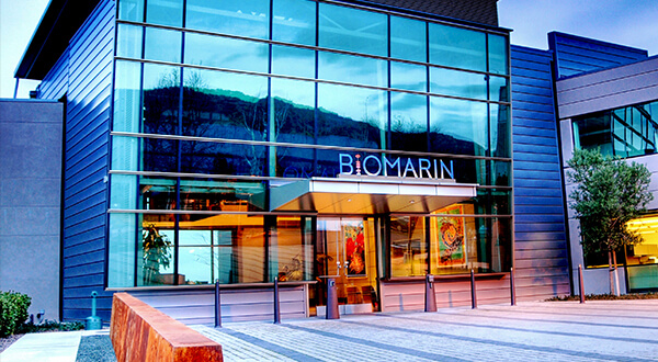 BioMarin’s hemophilia gene therapy ‘Roc solid’ after 4 years