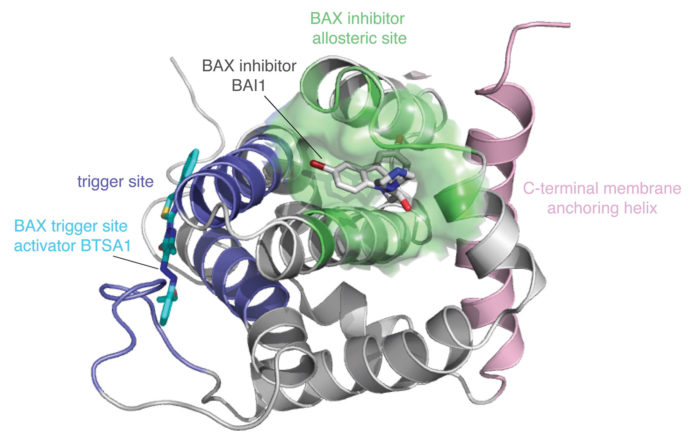 Protein Modulation Helps Drug Design Get a Grip