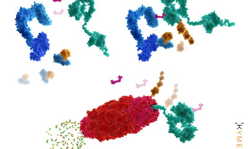 Sanofi pays $150M upfront, $2B in biobucks to tap protein degrader biotech Kymera