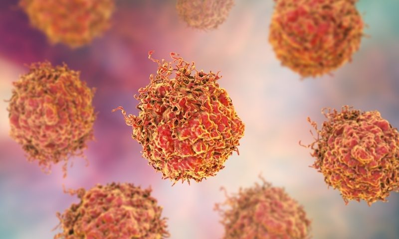 From natural killer cells to off-the-shelf CAR-Ts, biopharma targets cancer with next-gen cell therapies