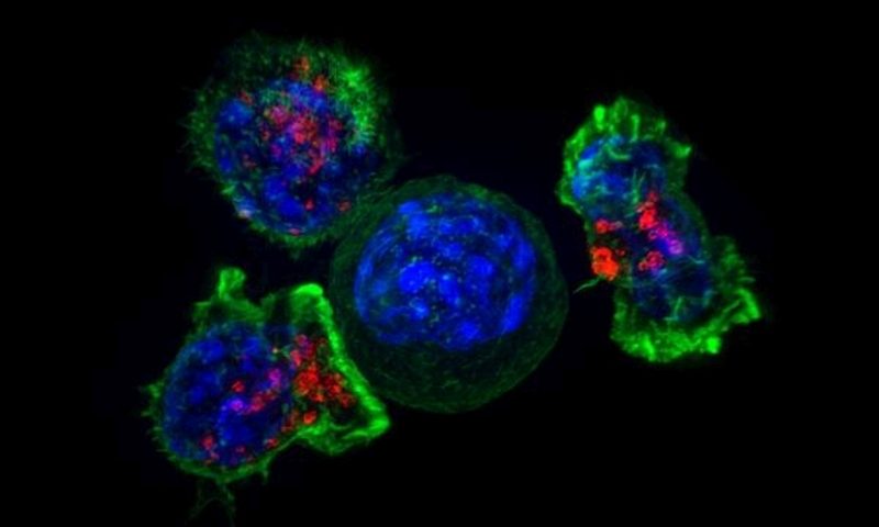Agios helps identify genes that allow cancer to escape the immune system
