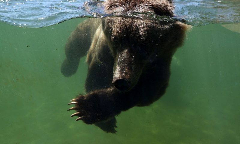 The second wave of a rolling bear market is about to begin, says top forecaster