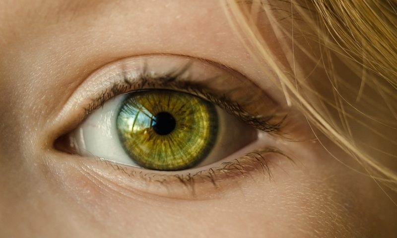 Restoring vision by crippling aberrant blood vessels in the eye
