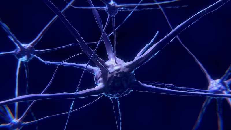 Treating multiple sclerosis with an antigen-specific cell therapy