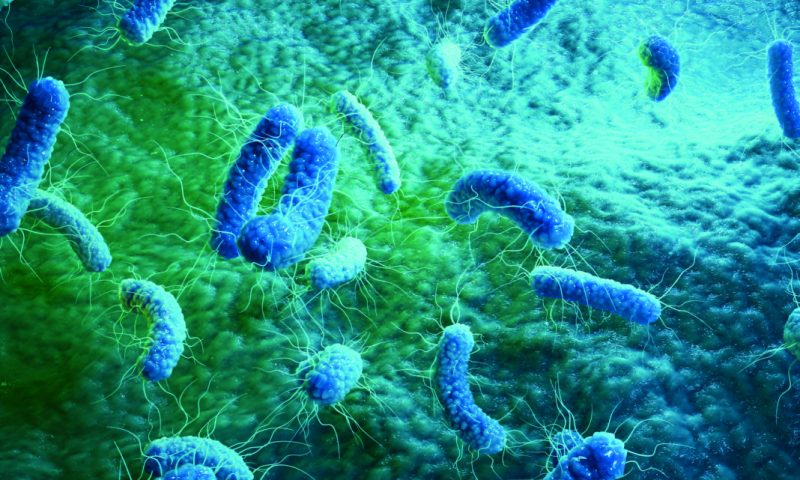 Scientists Develop Novel Class of Antibiotic against Wide Range of Bacteria