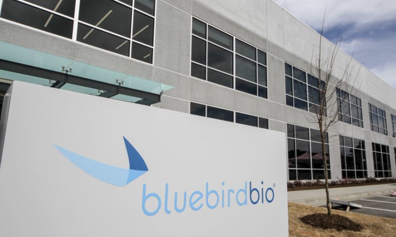 Bluebird to spin off cancer therapies into new company