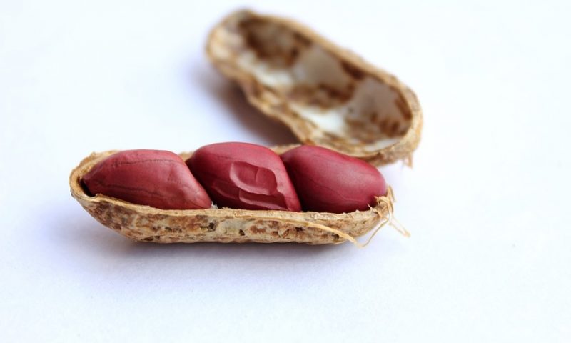 DBV Technologies laying off 200 staffers after nasty FDA reaction to its peanut allergy patch