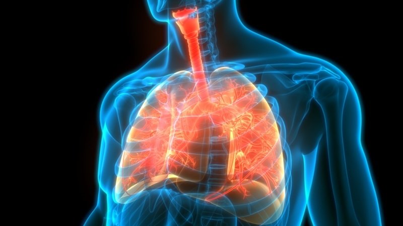 Lassen Therapeutics, Cedars Sinai team up to test IL-11 antibodies in lung fibrosis