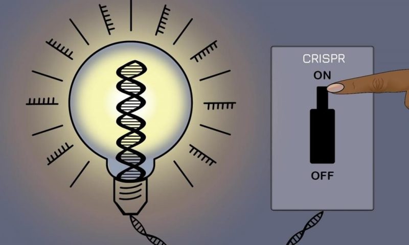 MIT and UCSF researchers create CRISPR ‘on-off switch’ that controls gene expression without changing DNA