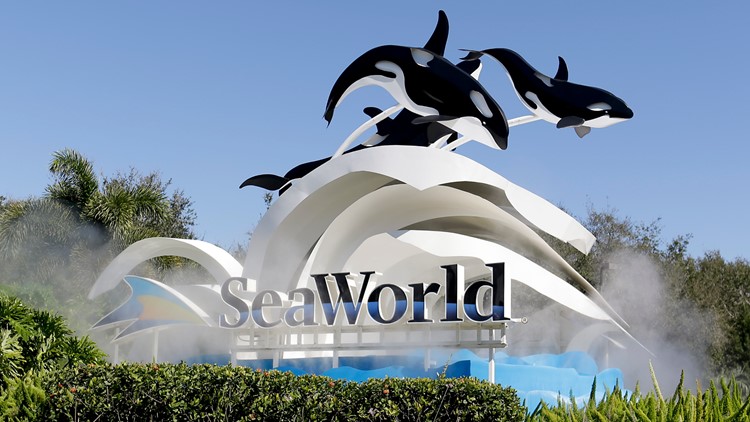 SeaWorld posts narrower-than-expected Q1 loss as revenue tops estimates