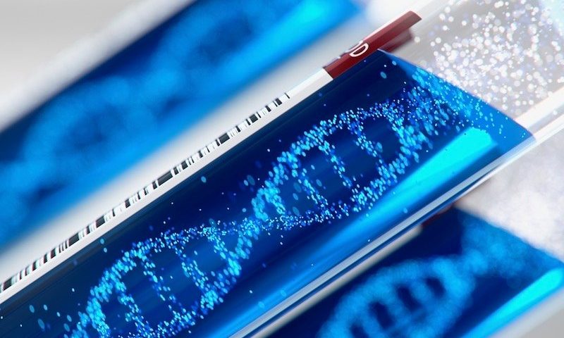 TwinStrand Biosciences raises $50M to increase adoption of DNA sequencing tech for cancer detection