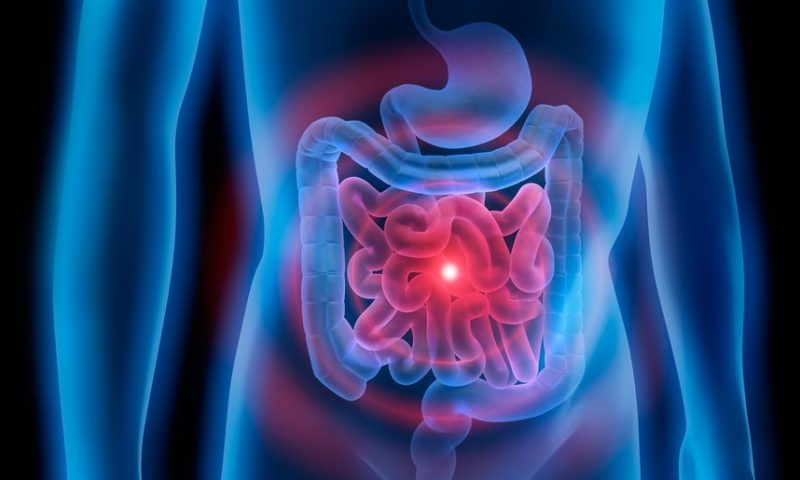 Gauging disease risk by studying the gut microbiome’s genetic features