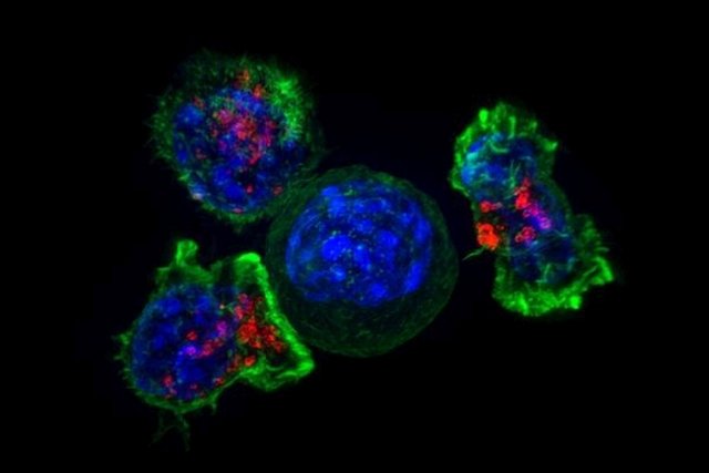 CRISPR therapeutics, Nkarta pen new cutting-edge cancer tech research pact