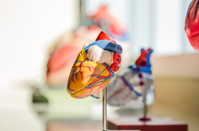 Canon Medical thinks Cleerly to combine AI imaging analysis with cardiac CT
