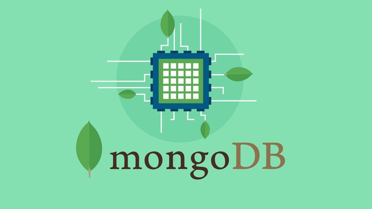 MongoDB stock jumps more than 10% after narrower Q2 loss