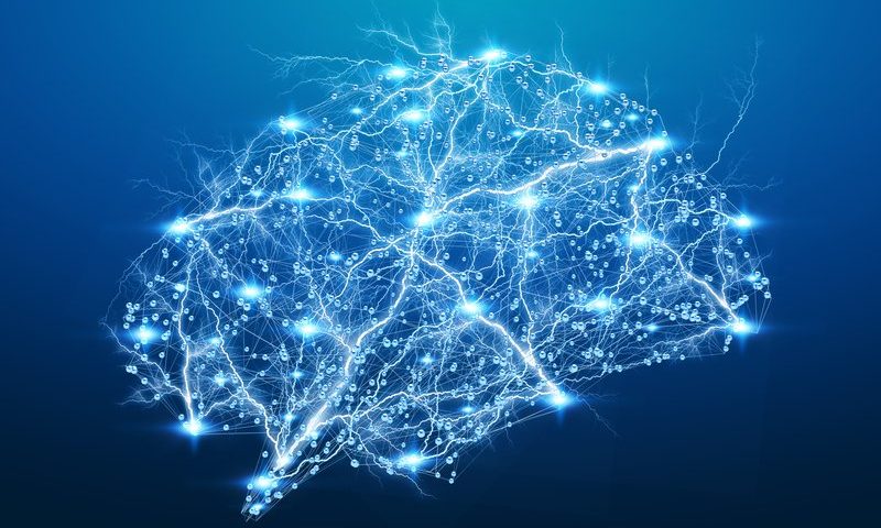 Rune Labs carves out $22M for platform that translates brain data into neurological devices, drugs