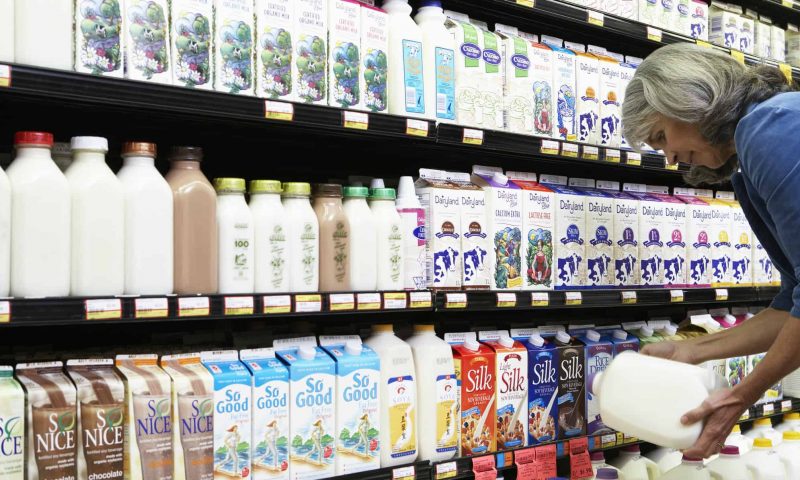 Synlait Milk Forecasts Return to Robust Profitability