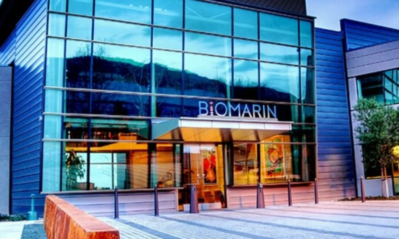 BioMarin snags Vertex VP as CMO a month after clinical snafu in gene therapy trial